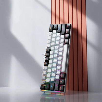 61 Keys USB Gaming Mechanical Keyboard Red Switch RGB